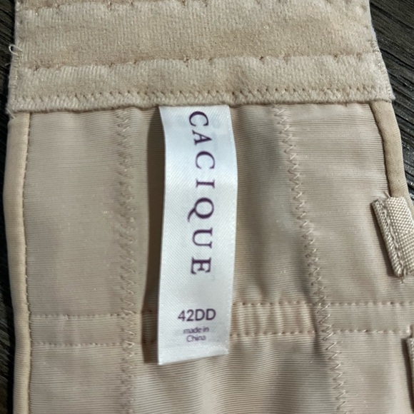 Lane Bryant Strapless Bra 42DD - Picture 3 of 3